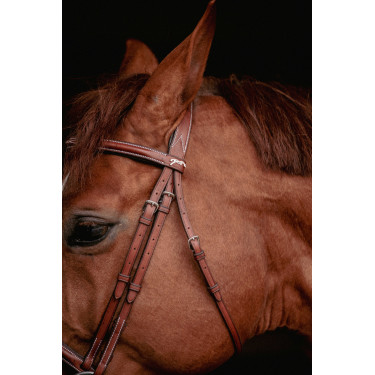 Cabezada PENELOPE Hunter US Avellana / habano Cabezada PENELOPE Hunter US Avellana / habano