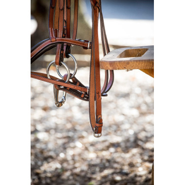 Riendas trenzadas Pénélope US Avellana Marrón