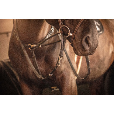 Riendas Pénélope Howlett Negro Riendas Pénélope Howlett Negro