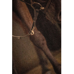 Riendas Pénélope Howlett Negro