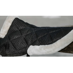 Almohadilla trasera Equithème Pro air Negro