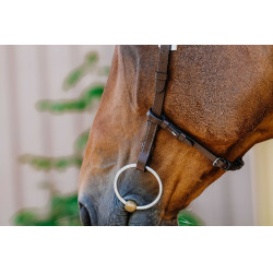 Cabezada de montar NORTON - Freedom Havana Marrón