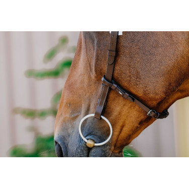 Cabezada de montar NORTON - Freedom Havana Marrón