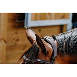 Cabezada de montar NORTON - Freedom Havana Marrón