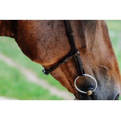 Cabezada de montar NORTON - Freedom Havana Marrón