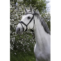 Cabezada Norton Pro Strass Negro