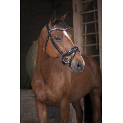 Cabezada Norton Pro Strass Negro