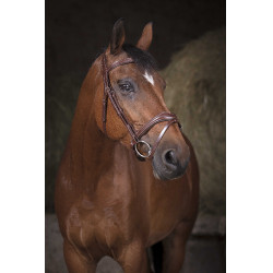 Cabezada Norton Pro Vague Havana Marrón