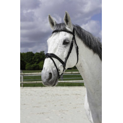 Cabezada Norton Pro Vague Negro