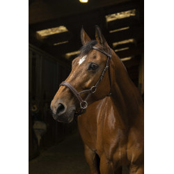 Side-pull Norton Pro Confort Havana Marr&amp;oacute;n