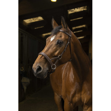 Side-pull Norton Pro Confort Havana Marr&amp;oacute;n