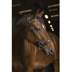 Side-pull Norton Pro Confort Negro