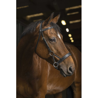 Side-pull Norton Pro Confort Negro