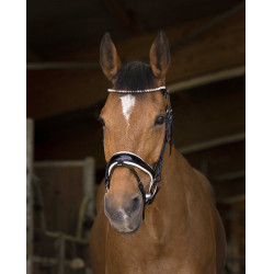 Cabezada de montar Norton Pro Bella Negro