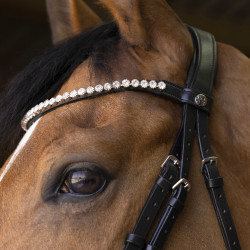 Cabezada de montar Norton Pro Bella Negro