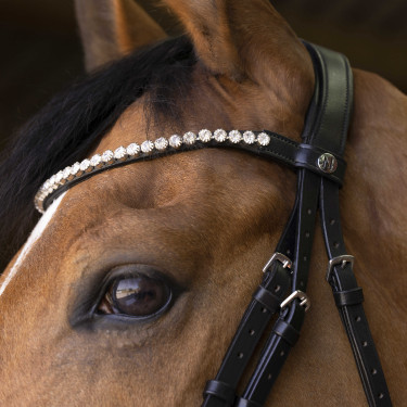 Cabezada de montar Norton Pro Bella Negro