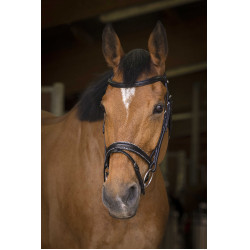 Cabezada de montar Norton Pro Rock Negro