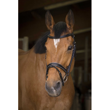 Cabezada de montar Norton Pro Rock Negro