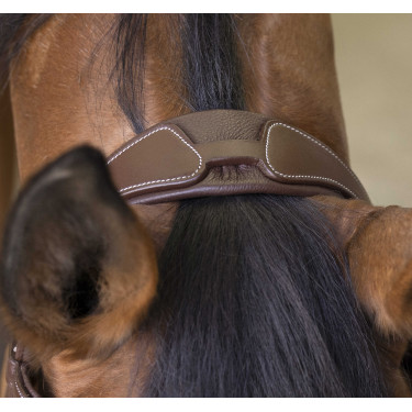 Cabezada de montar Norton Pro Rock Havana Marrón