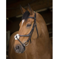 Cabezada de montar Norton Pro con muserola mejicana Negro