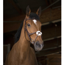 Cabezada de montar Norton Pro con muserola mejicana Havana Marrón