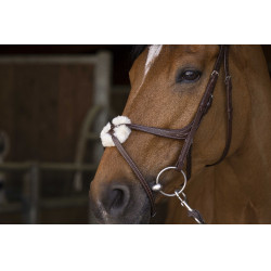 Cabezada de montar Norton Pro con muserola mejicana Havana Marrón