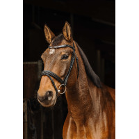 Bridon Norton Pro Galon Negro