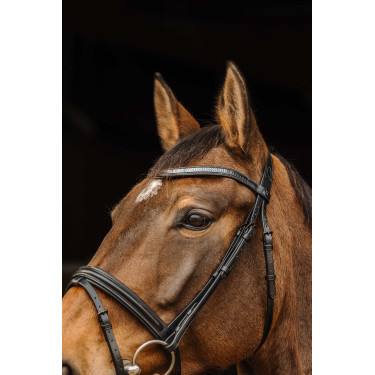 Bridon Norton Pro Galon Negro