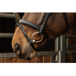 Bridon Norton Pro Dark Negro