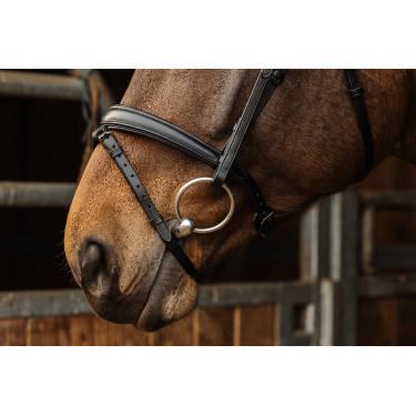 Bridon Norton Pro Dark Negro