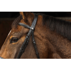 Bridon Norton Pro Dark Negro