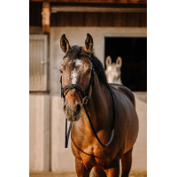 Cabezada de montar ERIC THOMAS Work Negro