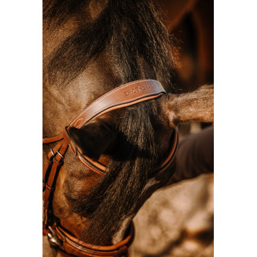 Cabezada de montar ERIC THOMAS Work Havana Marrón