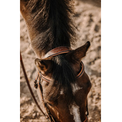 Cabezada de montar ERIC THOMAS Work Havana Marrón