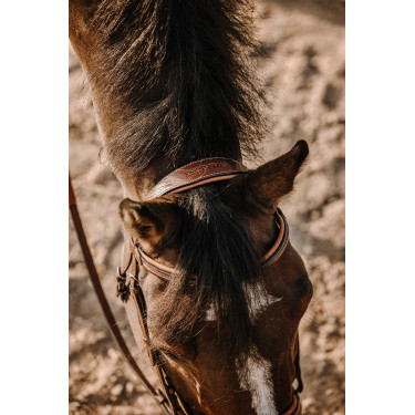 Cabezada de montar ERIC THOMAS Work Havana Marrón