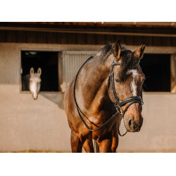 Brida Eric Thomas Bat Negro