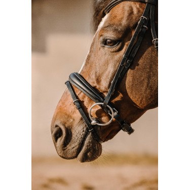 Brida Eric Thomas Bat Negro