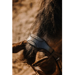 Brida Eric Thomas Bat Negro