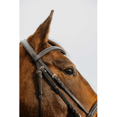 Cabezada de montar NORTON CLUB Strass V Negro