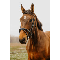 Bridon Norton Club Easy Negro