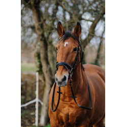 Entrenamiento Bridon Norton Negro