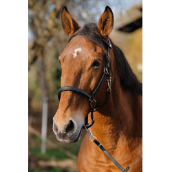 Trenza/Cabezada Norton Training Negro