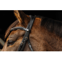 Filete para cabezada NORTON Basal Negro