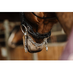 Filete para cabezada NORTON Basal Negro