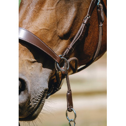 Brida sin bocado Norton Havana Marrón