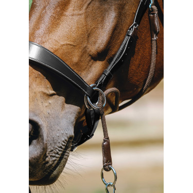 Brida sin bocado Norton Negro