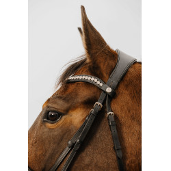 Bridon Norton Club Diva Negro