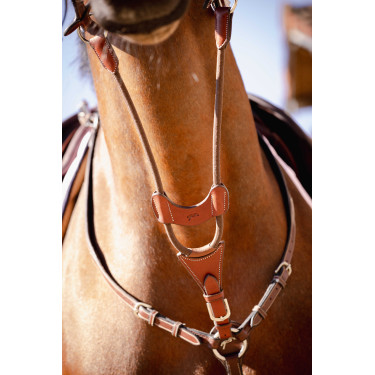 PENELOPE Tijerilla de martingala bip ligera US elástica Avellana Marrón