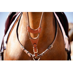 PENELOPE Tijerilla de martingala bip ligera US elástica Avellana Marrón