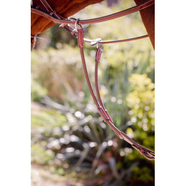 PENELOPE Tijerilla de martingala bip ligera US elástica Avellana Marrón